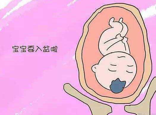 宝宝在十个月大时的发育指南：如何促进宝宝健康成长