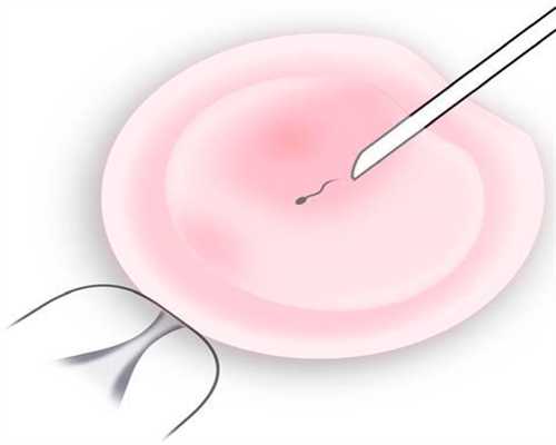 香港代孕：第三代试管婴儿的胚胎质量取决于什
