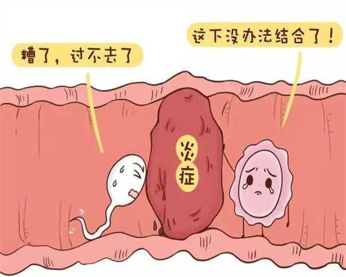 香港代孕商业化w：第三代试管婴儿移植后，怎么