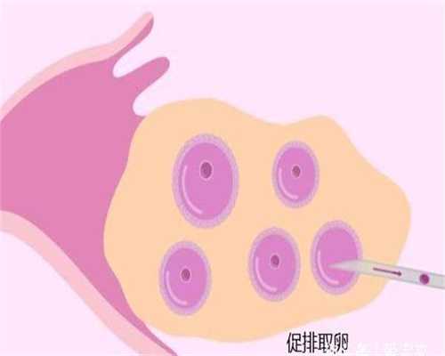 香港代孕种类：黑龙江齐齐哈尔网信办召开政务