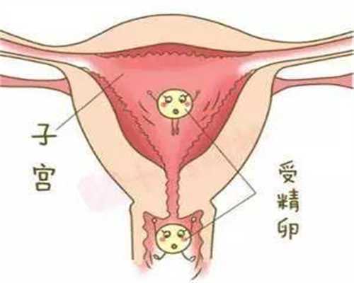 香港代孕专家4：除去遗传，长个还要抓住这几个