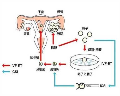 香港代孕机构C：高龄孕妇生二胎，这里有5个提醒