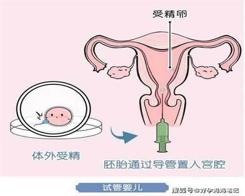 香港代孕产子公司：遛狗不牵绳殴打孕妇还袭警