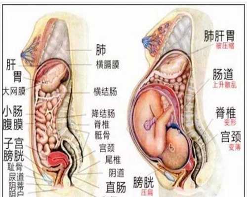 腮腺炎可能会影响生育_上海长江时代