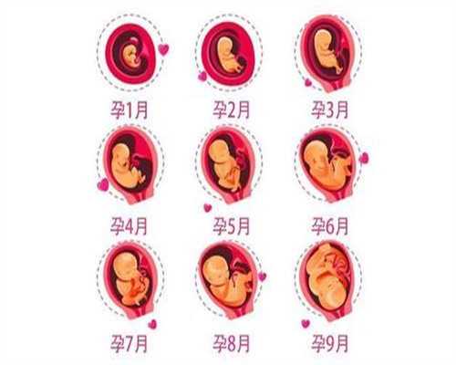 俄罗斯怀孕日：代孕十天身体会出现什么症状代