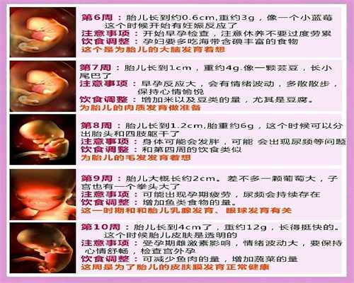 代孕产检周期及产检内容