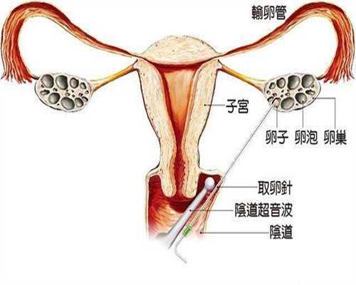 代孕可以按摩足部吗 需注意力度手法