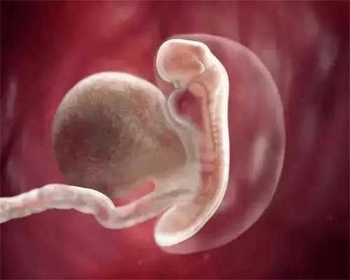 代孕常玩手机影响胎儿发育，真相却是...