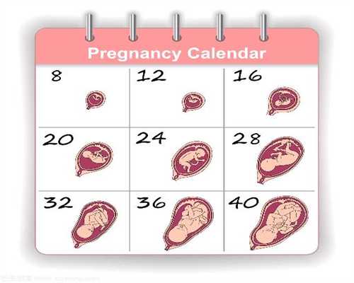 同跟孕：教你自测排卵日的六种方法