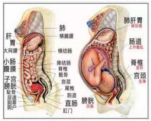 陕西孕妇产下罕见胎中胎男婴腹中“怀”胎儿(组