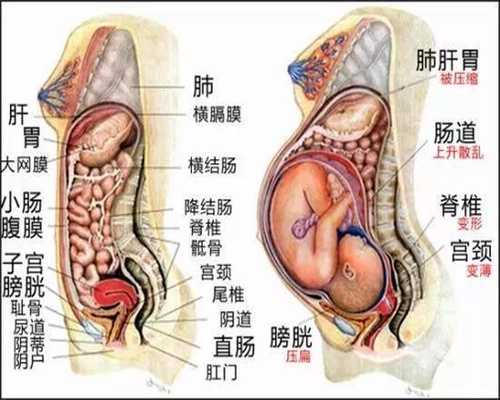 国外代孕哪里放心:早期输卵管堵塞的症状