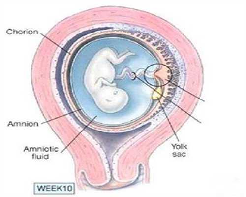 代孕套餐:治疗子宫内膜厚用哪种药合适