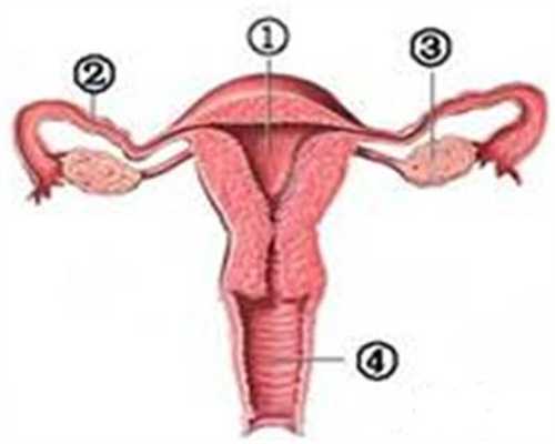 代孕前的一些检查:男性精子检查多少钱