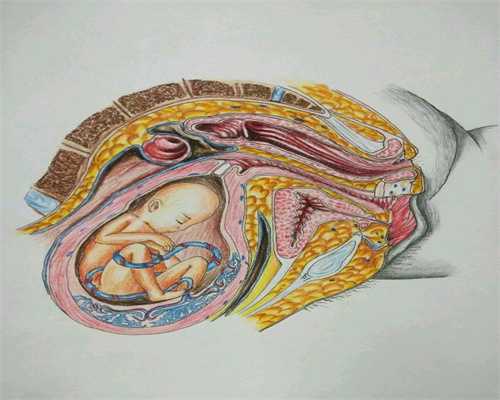 代孕哪个国家合法:卵巢早衰如何预防