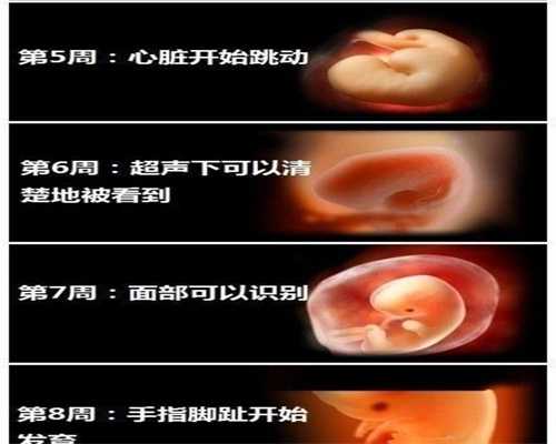中国代孕妈妈价格:广州现在哪里做试管比较好呢