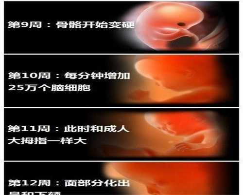 中国代孕妈妈价格:广州现在哪里做试管比较好呢