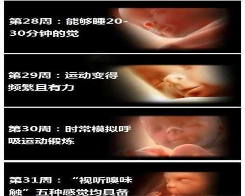 泰国代孕选性别:-不孕不育检查项目3步走-