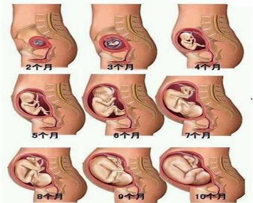 代怀孕妈妈在中国合法吗_孕妈妈最想知道的每月