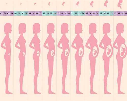 代孕网-代孕网价格表-代孕9周胎心仪能听到吗
